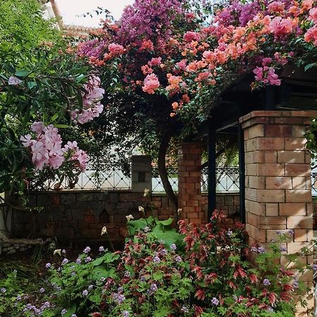 Veneto'S Garden Apartment Kardhamili Exterior foto