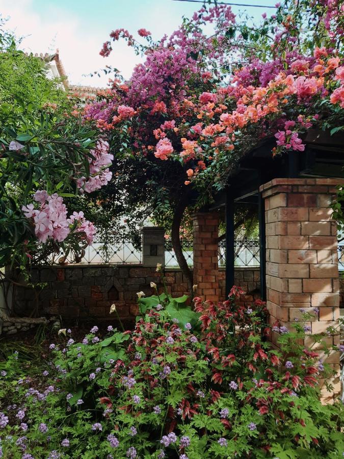 Veneto'S Garden Apartment Kardhamili Exterior foto